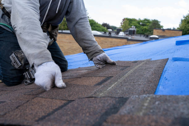 Best Shingle Roofing Installation  in Rockford, MI