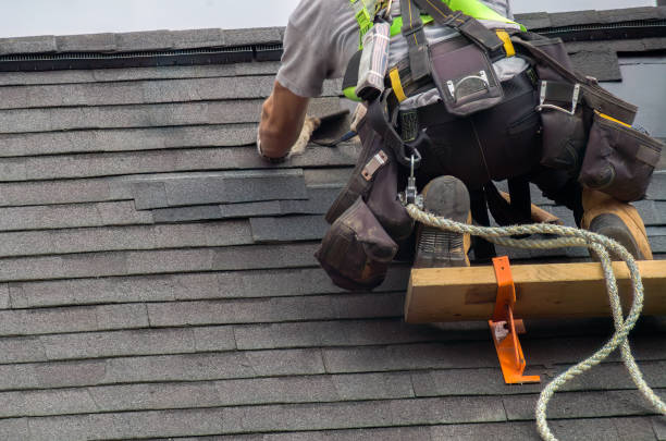 Best Roof Leak Repair  in Rockford, MI