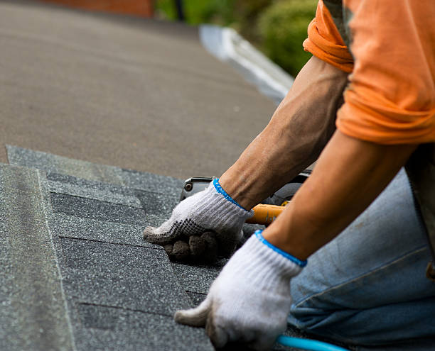 Best Roofing Contractor Near Me  in Rockford, MI