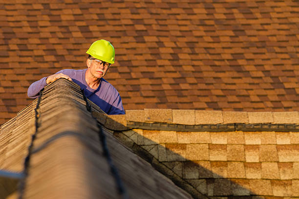 Best Roof Restoration Services  in Rockford, MI