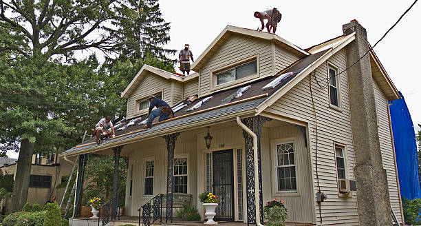 Best Roof Gutter Cleaning  in Rockford, MI