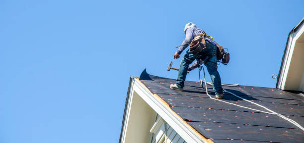 Best Slate Roofing Contractor  in Rockford, MI